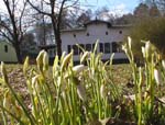 Das Familienhaus mit Schneegl&ouml;ckchen im Vordergrund