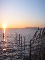 Sonnenaufgang &uuml;ber dem Wolziger See